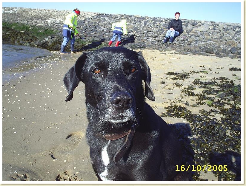 Nordsee Oktober 2005 027